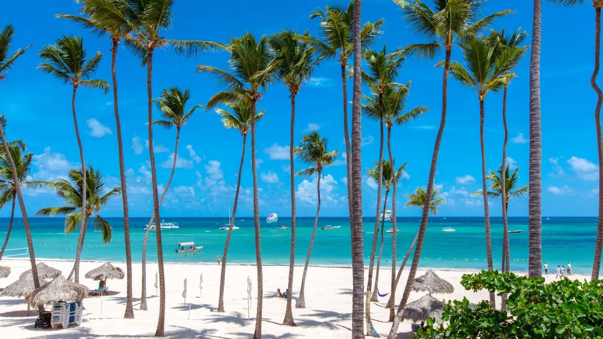 Serenara Studios And Suites - Los Corales Beach - Great Location With Many Restaurants Lejlighedshotel Punta Cana
