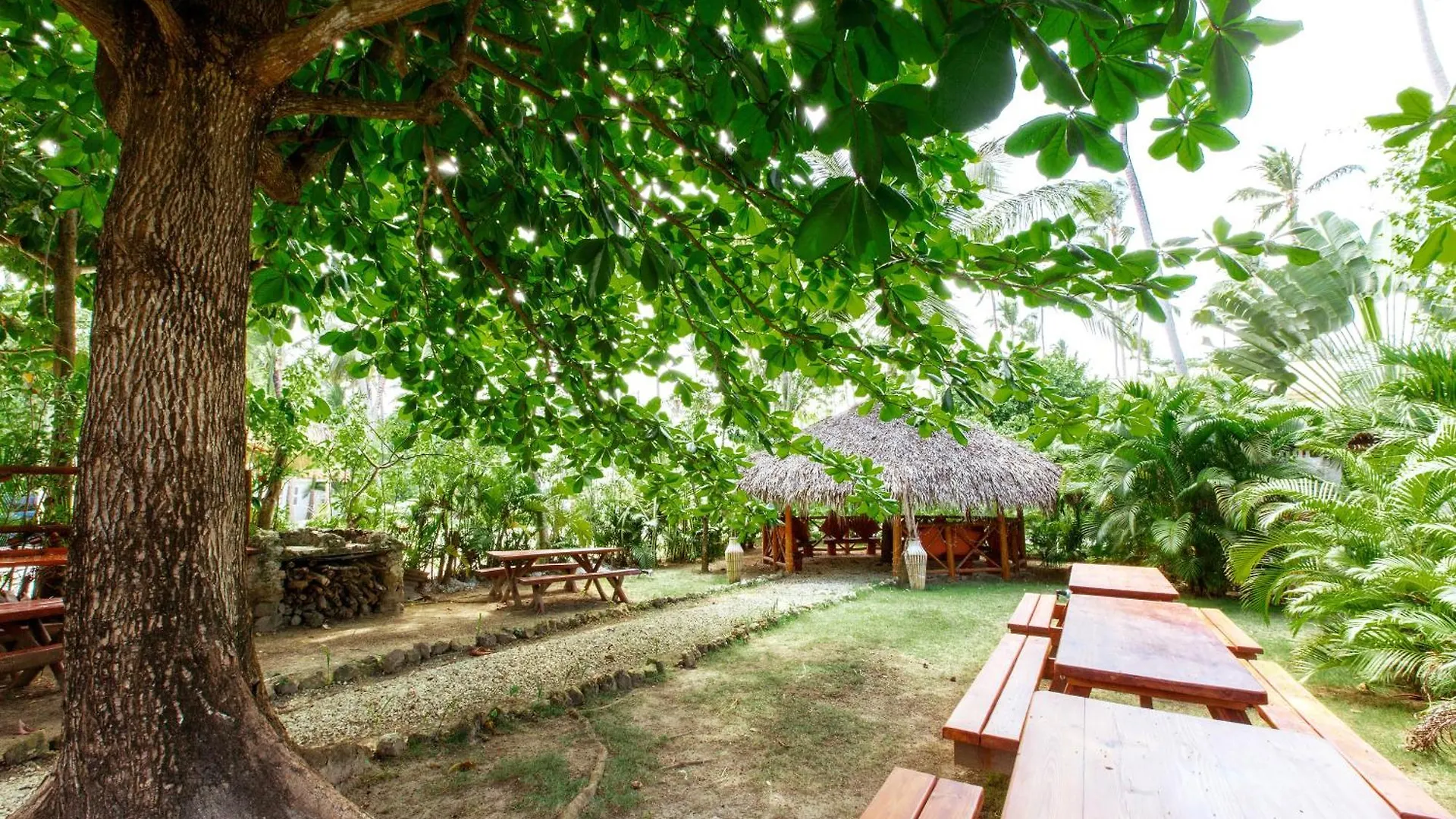 Serenara Studios And Suites - Los Corales Beach - Great Location With Many Restaurants Punta Cana