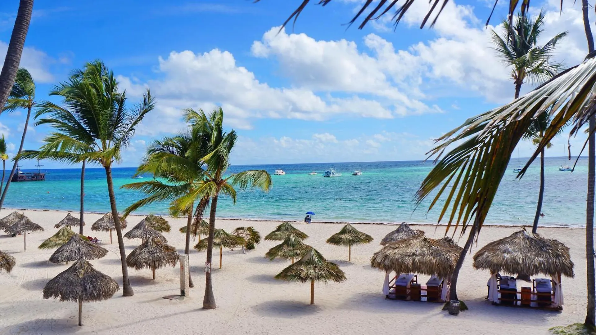 Serenara Studios And Suites - Los Corales Beach - Great Location With Many Restaurants Lejlighedshotel